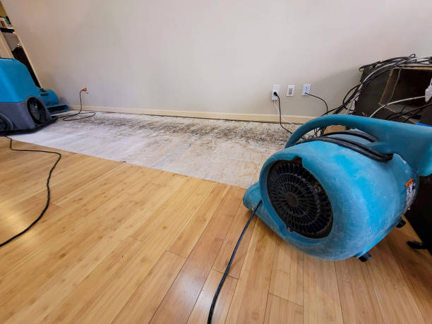 Professional Sewage Cleanup technician working in Samaria, MI